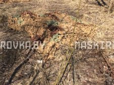 set-mkt-2х3-kamish_foto